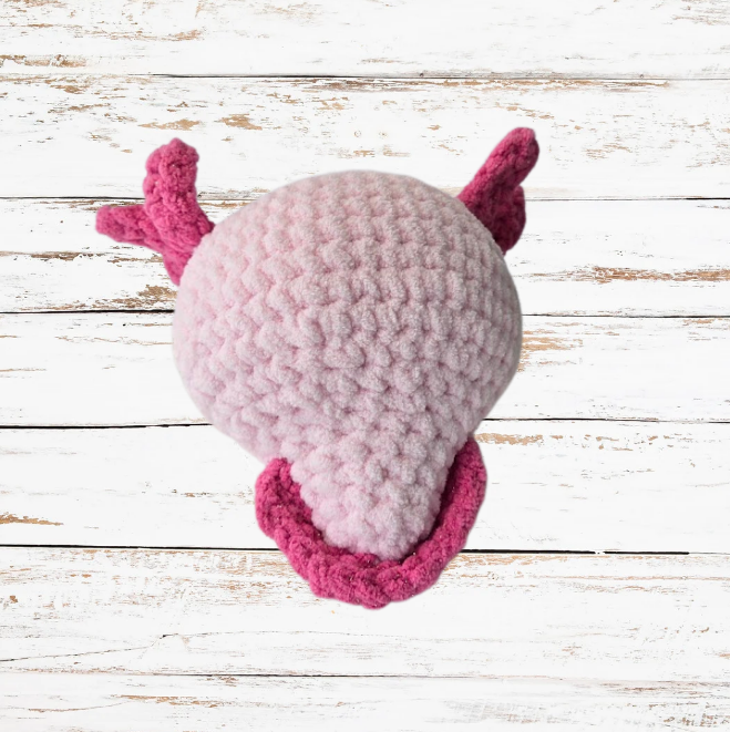 Chunky Axolotl- multiple colors
