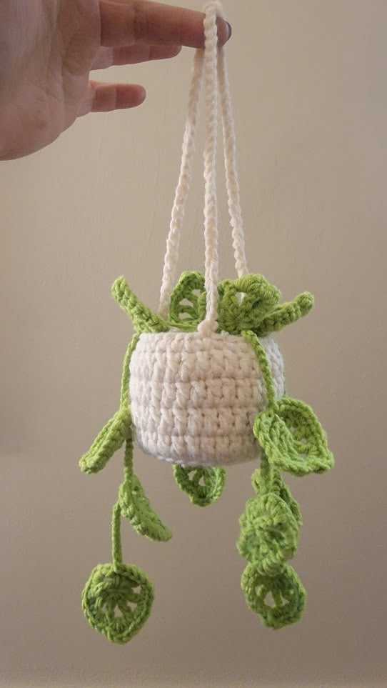 Hanging Plant - 2 Sizes