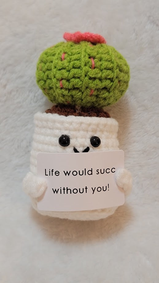 Positive Succulent