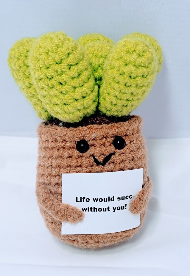 Positive Succulent