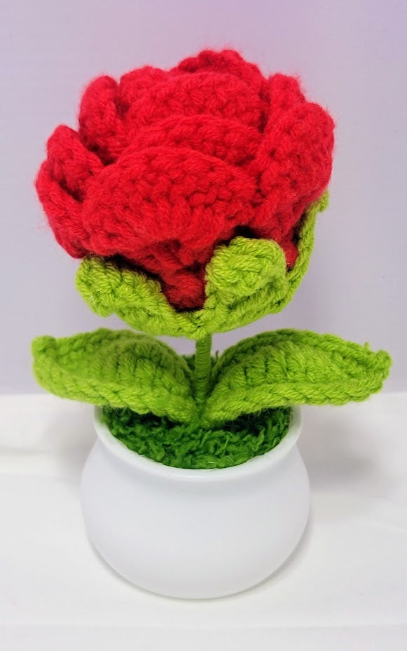 Potted Crochet Plant